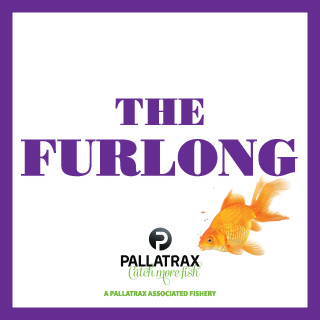 The Furlong