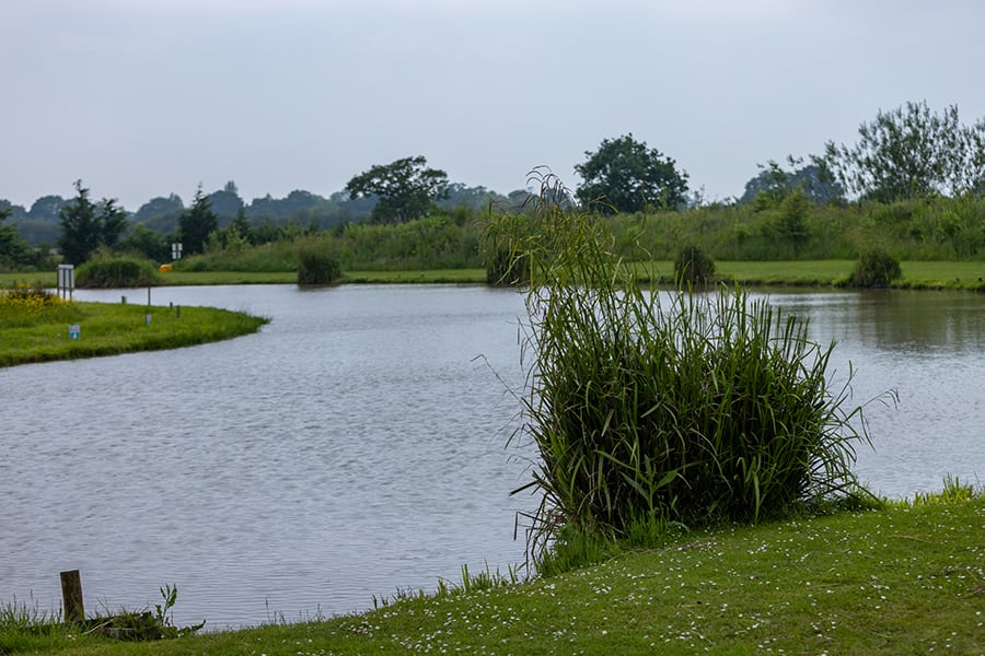 the-arena-gallery-02