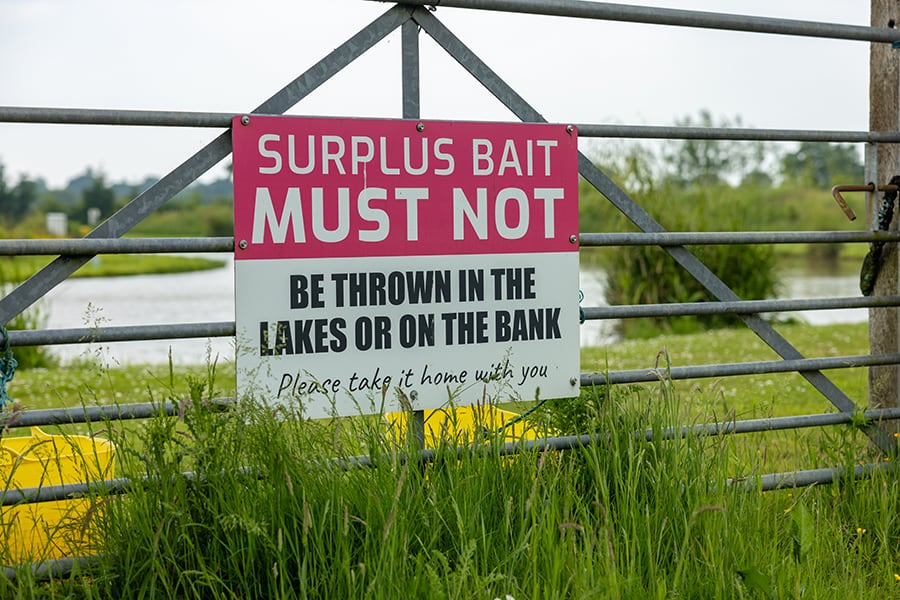 the-arena-gallery-04